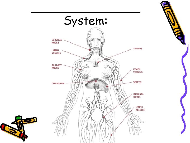 ________ System: 