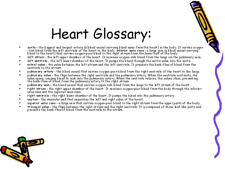 Heart Glossary: • • • aorta - the biggest and longest artery (a blood