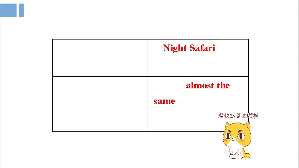 Night Safari almost the same 