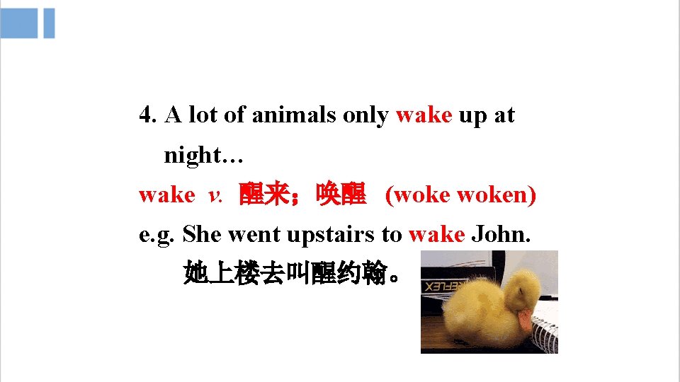 4. A lot of animals only wake up at night… wake v. 醒来；唤醒 (woken)
