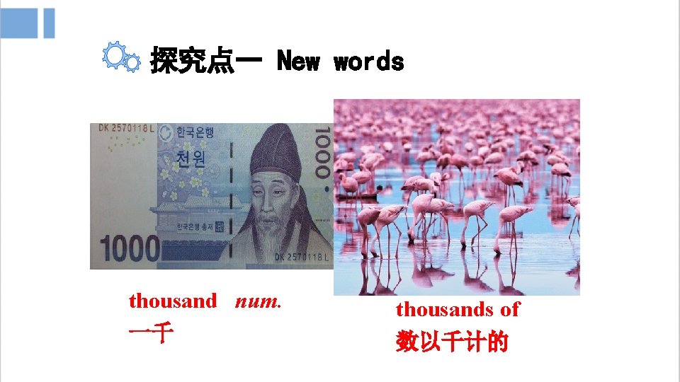 探究点一 New words thousand num. 一千 thousands of 数以千计的 