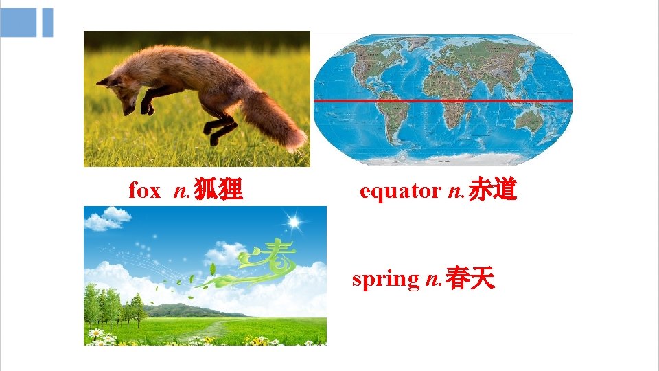 fox n. 狐狸 equator n. 赤道 spring n. 春天 