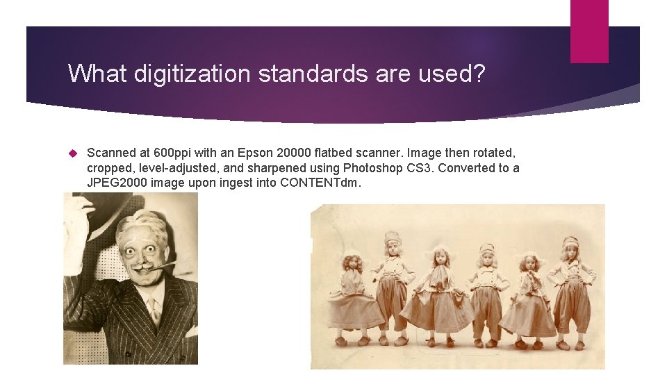 What digitization standards are used? Scanned at 600 ppi with an Epson 20000 flatbed