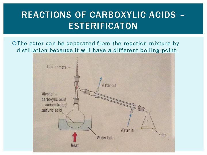 REACTIONS OF CARBOXYLIC ACIDS – ESTERIFICATON The ester can be separated from the reaction