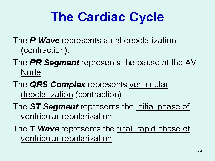 The Cardiac Cycle The P Wave represents atrial depolarization (contraction). The PR Segment represents