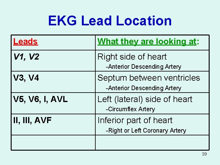 EKG Lead Location Leads What they are looking at: V 1, V 2 Right
