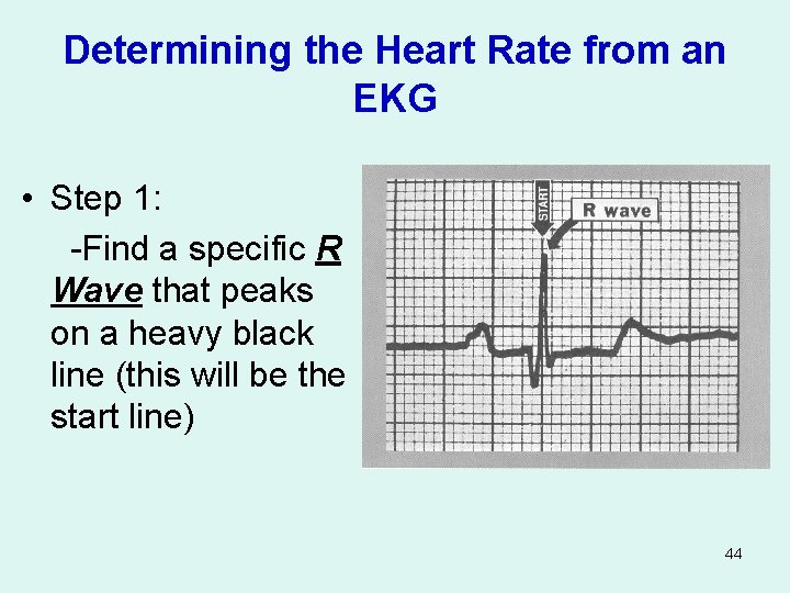 Determining the Heart Rate from an EKG • Step 1: -Find a specific R
