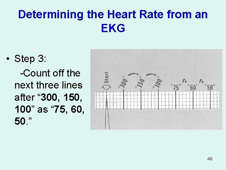 Determining the Heart Rate from an EKG • Step 3: -Count off the next