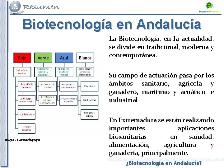 Biotecnología en Andalucía La Biotecnología, en la actualidad, se divide en tradicional, moderna y