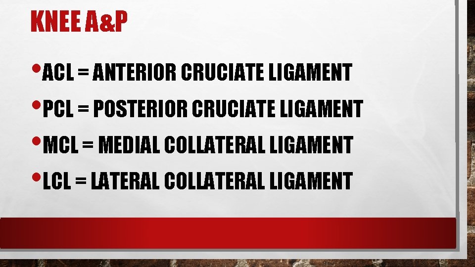 KNEE A&P • ACL = ANTERIOR CRUCIATE LIGAMENT • PCL = POSTERIOR CRUCIATE LIGAMENT