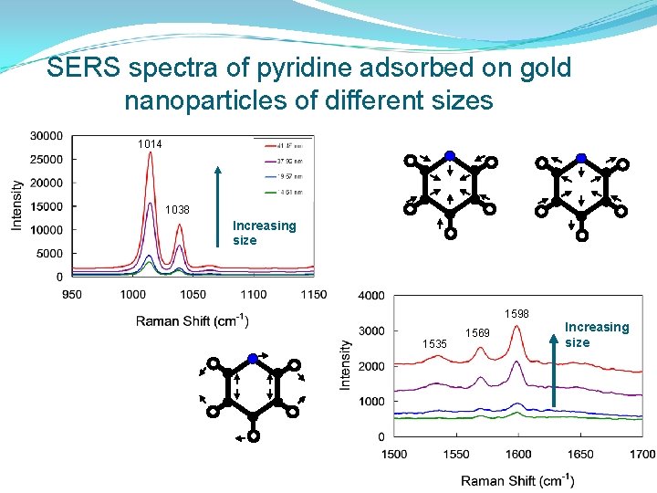 SERS spectra of pyridine adsorbed on gold nanoparticles of different sizes 1014 1038 Increasing
