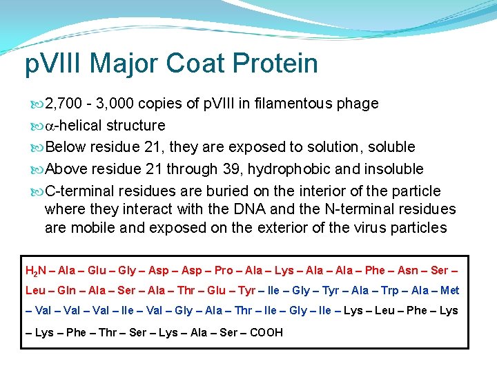 p. VIII Major Coat Protein 2, 700 - 3, 000 copies of p. VIII