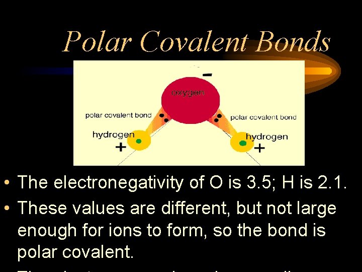 Polar Covalent Bonds • The electronegativity of O is 3. 5; H is 2.
