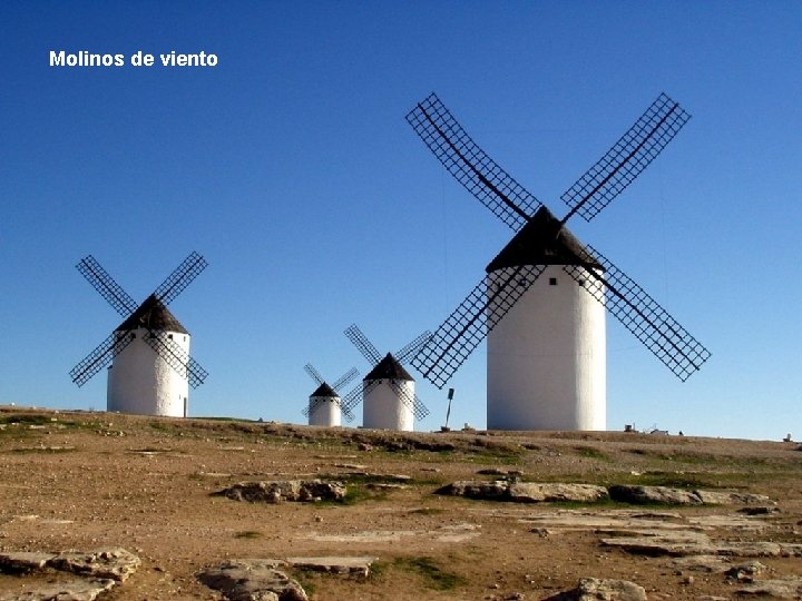 Molinos de viento 