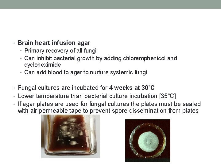  • Brain heart infusion agar • Primary recovery of all fungi • Can