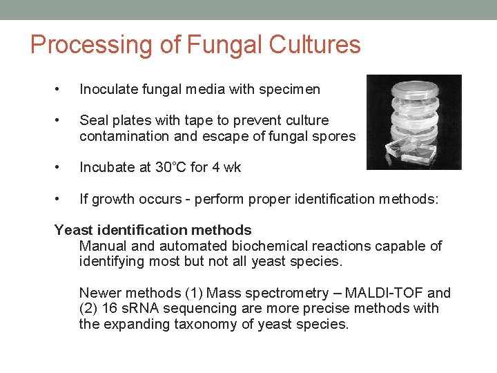 Processing of Fungal Cultures • Inoculate fungal media with specimen • Seal plates with