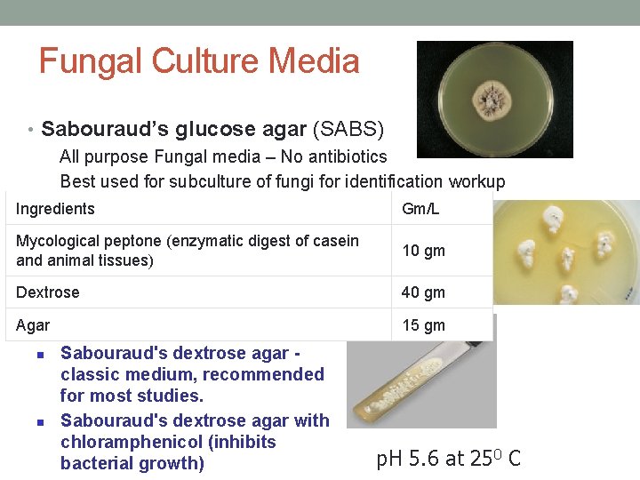 Fungal Culture Media • Sabouraud’s glucose agar (SABS) All purpose Fungal media – No