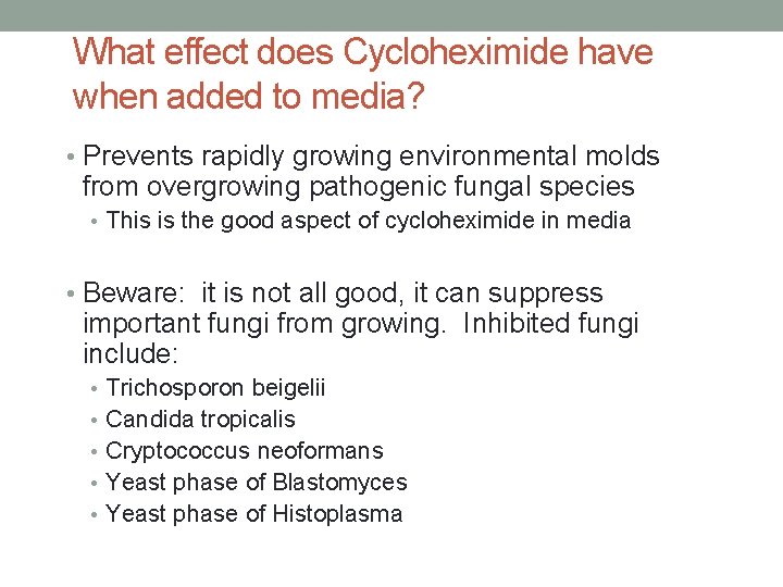 What effect does Cycloheximide have when added to media? • Prevents rapidly growing environmental
