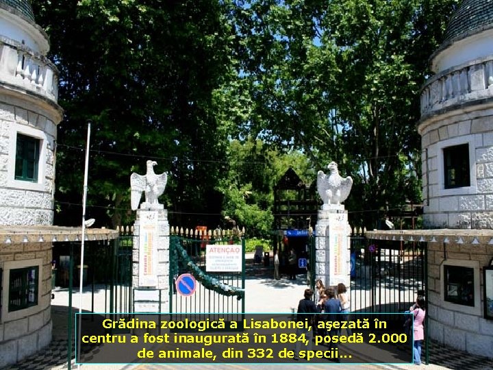Grădina zoologică a Lisabonei, aşezată în centru a fost inaugurată în 1884, posedă 2.