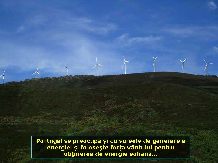 Portugal se preocupă şi cu sursele de generare a energiei şi foloseşte forţa vântului