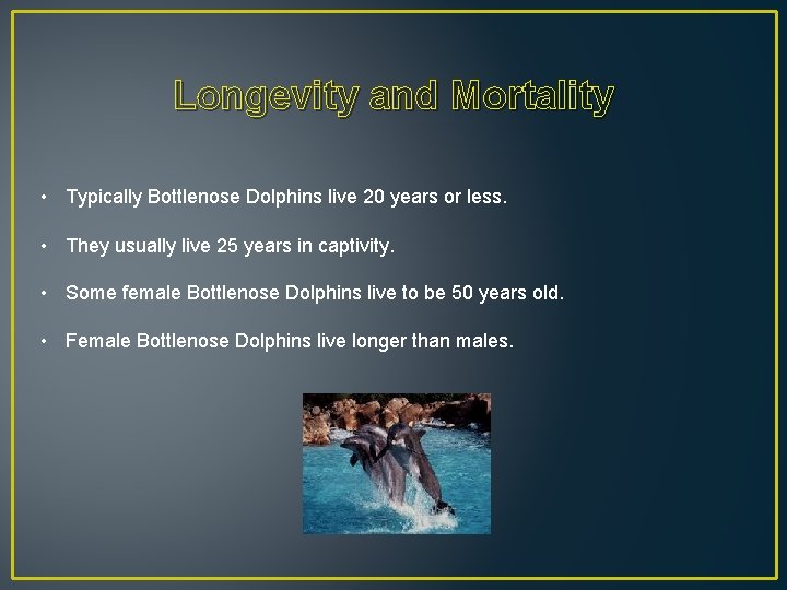 Longevity and Mortality • Typically Bottlenose Dolphins live 20 years or less. • They