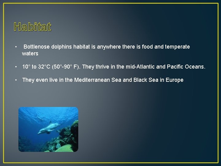 Habitat • Bottlenose dolphins habitat is anywhere there is food and temperate waters •