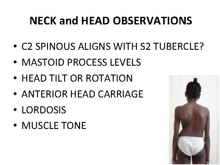 NECK and HEAD OBSERVATIONS • • • C 2 SPINOUS ALIGNS WITH S 2