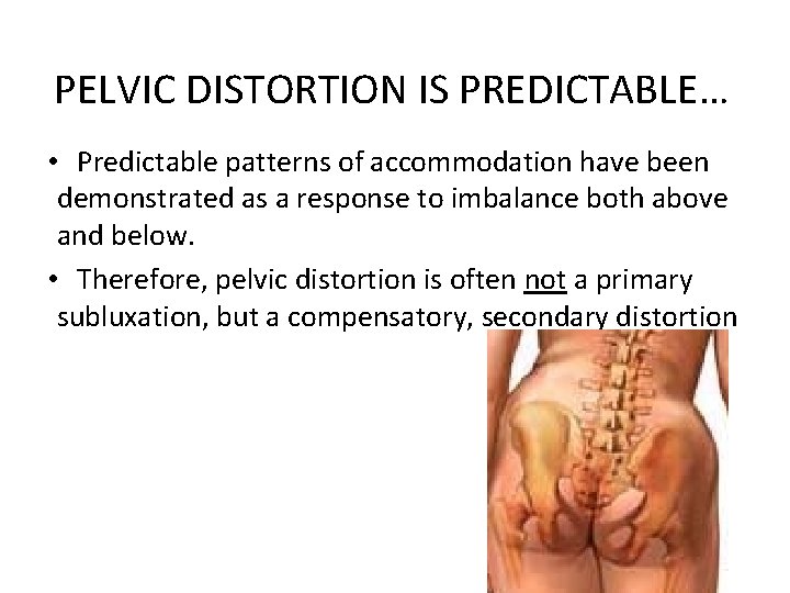 PELVIC DISTORTION IS PREDICTABLE… • Predictable patterns of accommodation have been demonstrated as a