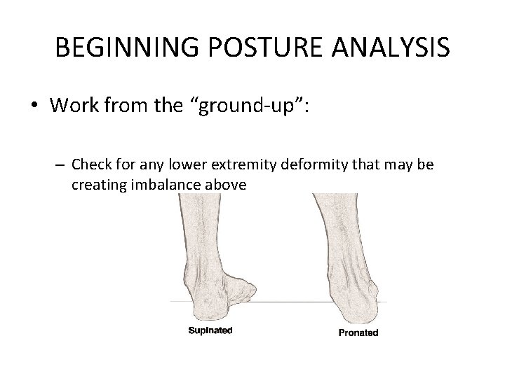 BEGINNING POSTURE ANALYSIS • Work from the “ground-up”: – Check for any lower extremity