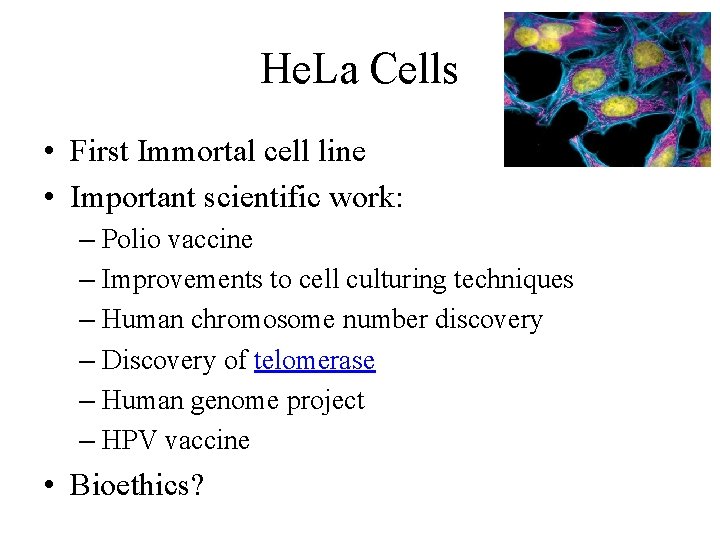 He. La Cells • First Immortal cell line • Important scientific work: – Polio