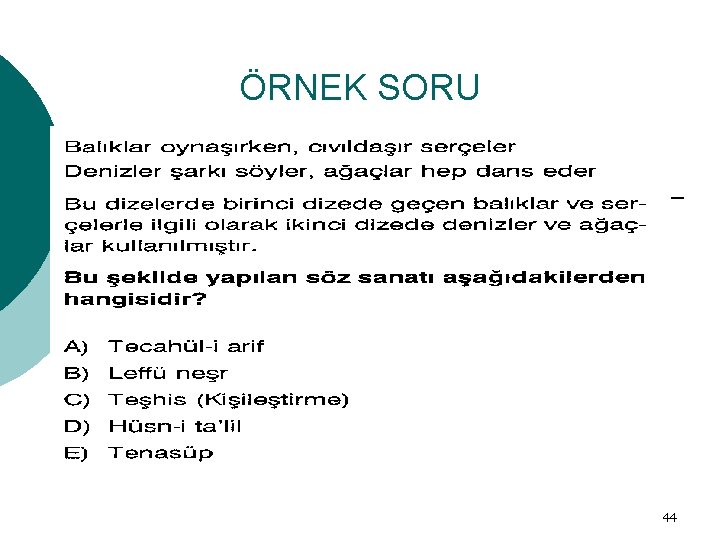 ÖRNEK SORU 44 