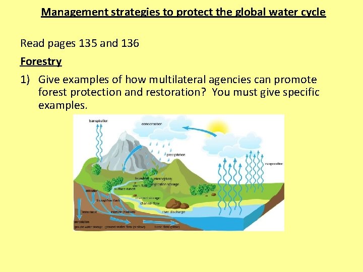 Management strategies to protect the global water cycle Read pages 135 and 136 Forestry
