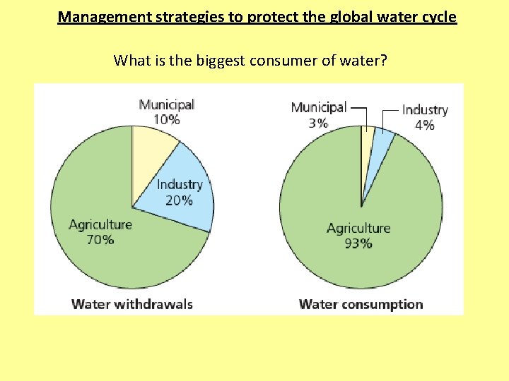 Management strategies to protect the global water cycle What is the biggest consumer of