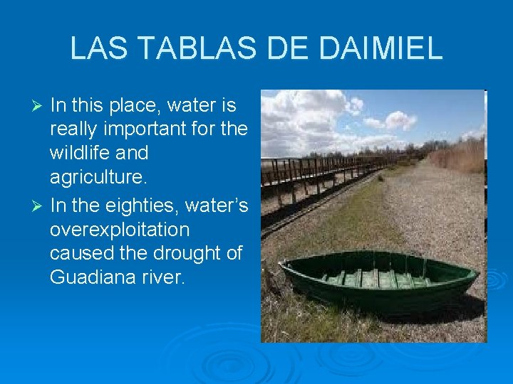 LAS TABLAS DE DAIMIEL In this place, water is really important for the wildlife