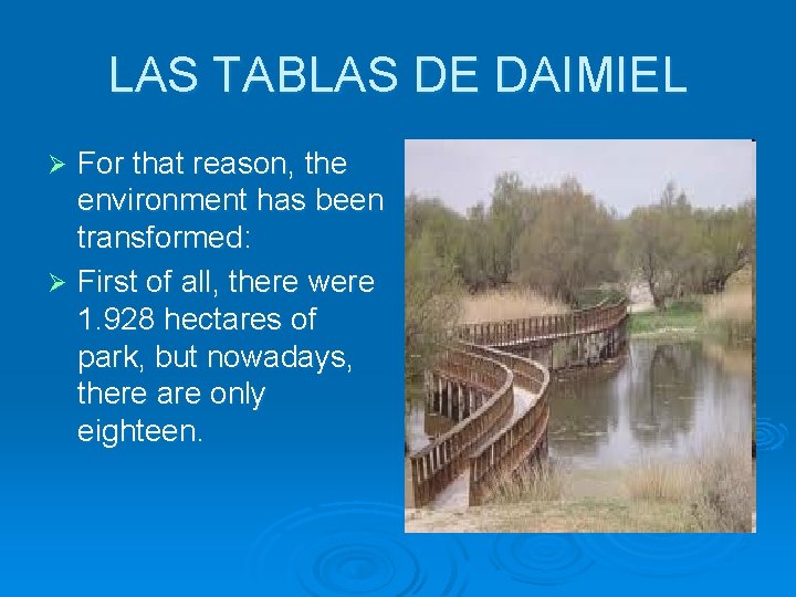 LAS TABLAS DE DAIMIEL For that reason, the environment has been transformed: Ø First