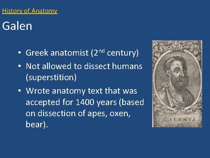 History of Anatomy Galen • Greek anatomist (2 nd century) • Not allowed to