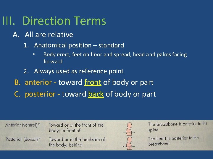 III. Direction Terms A. All are relative 1. Anatomical position – standard • Body