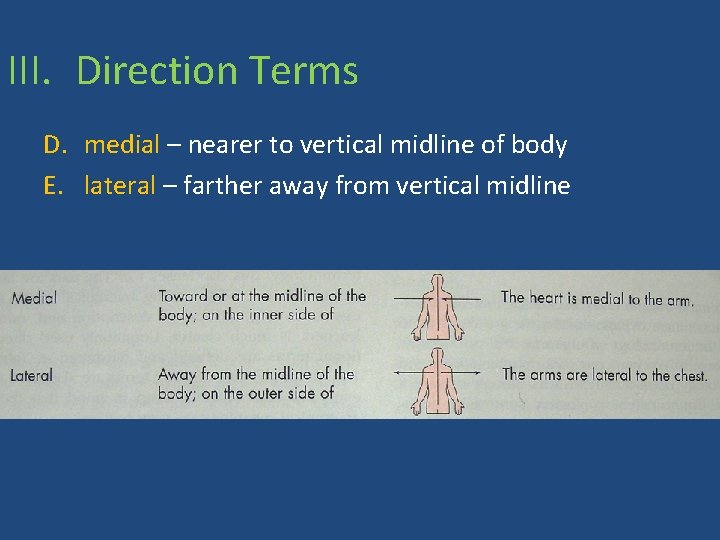 III. Direction Terms D. medial – nearer to vertical midline of body E. lateral