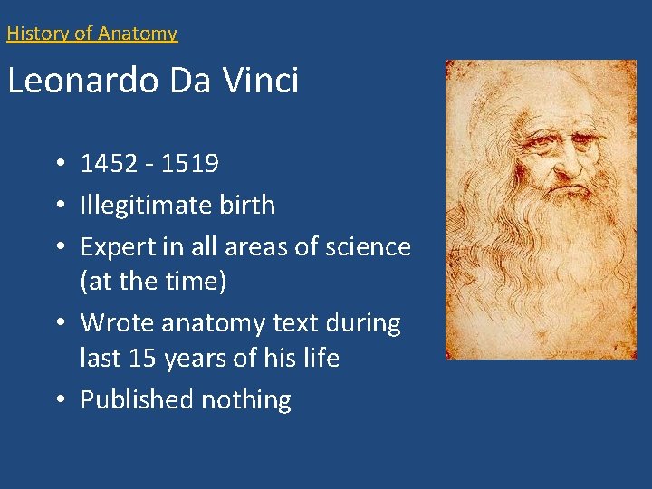 History of Anatomy Leonardo Da Vinci • 1452 - 1519 • Illegitimate birth •