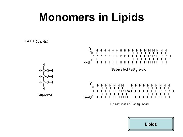 Monomers in Lipids 