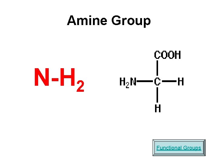 Amine Group N-H 2 Functional Groups 