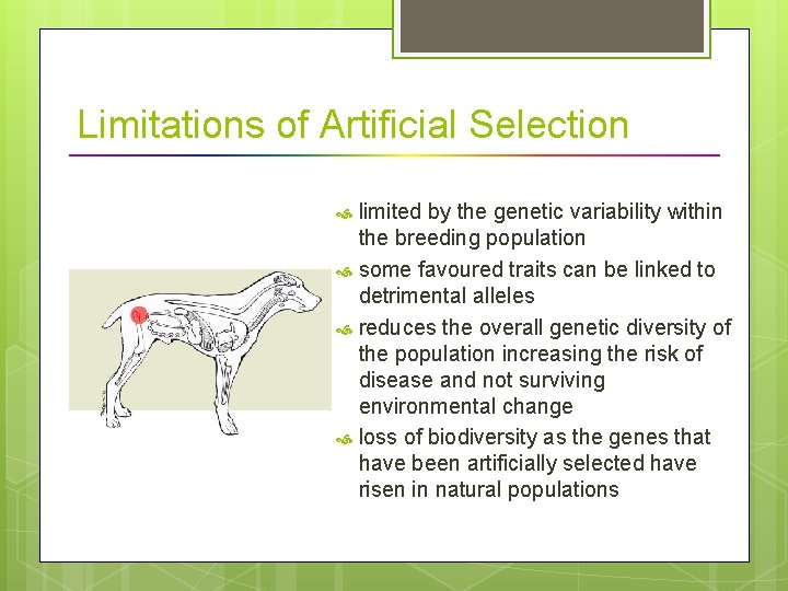 Limitations of Artificial Selection limited by the genetic variability within the breeding population some