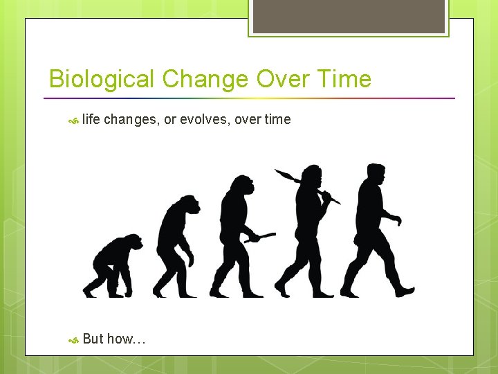Biological Change Over Time life changes, or evolves, over time But how… 