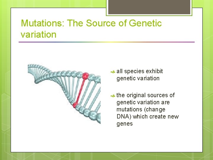 Mutations: The Source of Genetic variation all species exhibit genetic variation the original sources