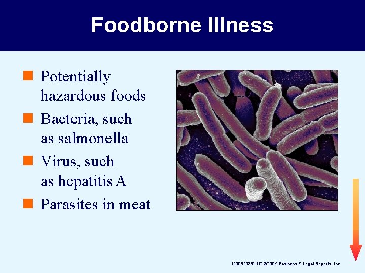Foodborne Illness n Potentially hazardous foods n Bacteria, such as salmonella n Virus, such