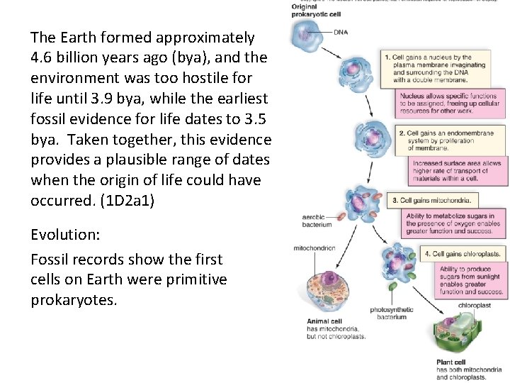 The Earth formed approximately 4. 6 billion years ago (bya), and the environment was