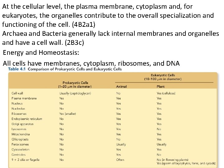 At the cellular level, the plasma membrane, cytoplasm and, for eukaryotes, the organelles contribute