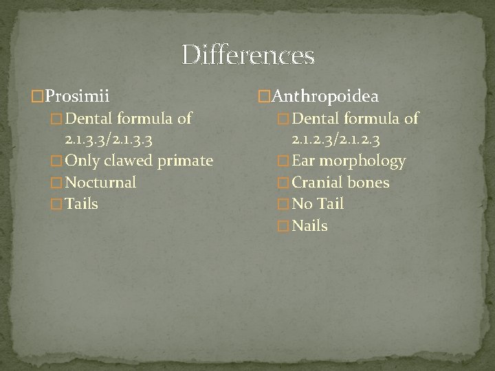Differences �Prosimii � Dental formula of 2. 1. 3. 3/2. 1. 3. 3 �