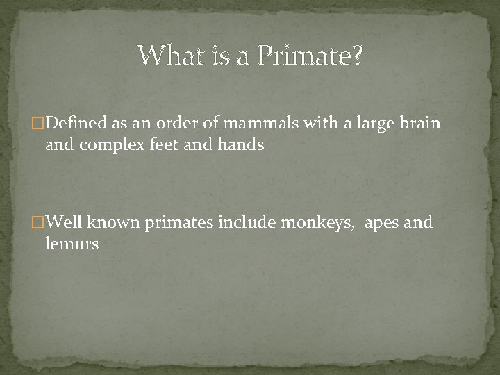 What is a Primate? �Defined as an order of mammals with a large brain