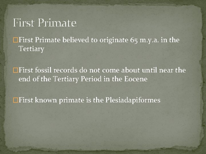 First Primate �First Primate believed to originate 65 m. y. a. in the Tertiary